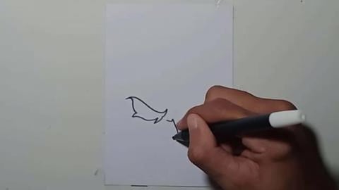 Drawing Tatto Tribal V28 Shorts