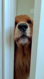 It's a stinky job but somebody's gotta do it!