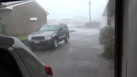 Storm and flash flood with a Malamute & Husky