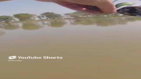 General Sherman on the line #fishing