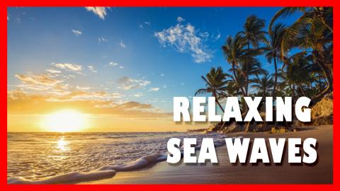 Relaxing SEA WAVES at beach for SLEEPING ????