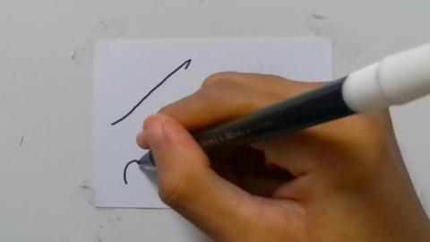 Drawing tatto v32 2024 shorts