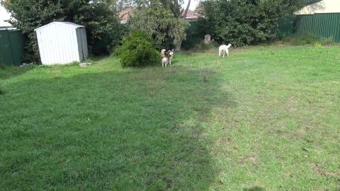 Fluffy butt house walkthrough, and hi to my young YouTube...