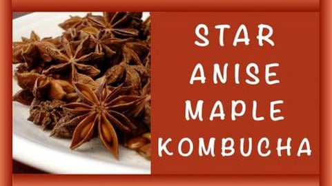 Homemade Star Anise Maple Kombucha / Healthy, Sparkling &...
