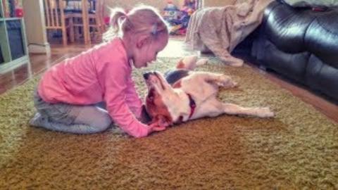 Why Children Should Have a Dog