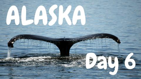 ALASKA DAY 6. Whales, Whales, WE WENT TO WHALE WATCHING!!...