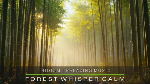 Forest Whisper Calm  Iridium 