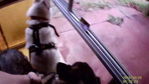 I broke my Husky & say hello to Eddie