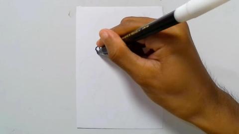 Drawing graffiti rooster head mascot 4 shorts
