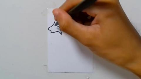 Draw tatto v49 2024 shorts