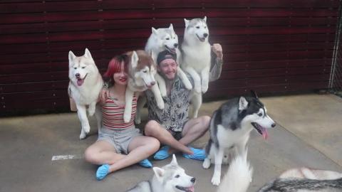 We went to a Husky Cafe in Bangkok! | True Love @ Neverla...