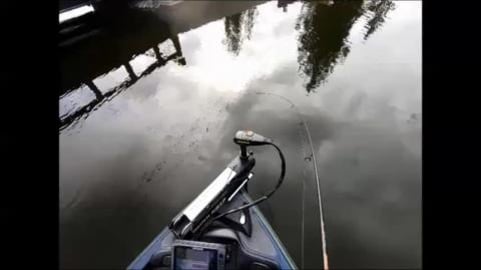 Bass fishing. Todays catches and non catches. lol May 15,...