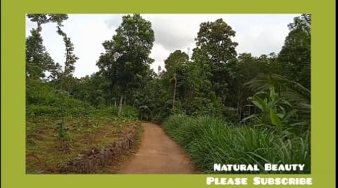 Beautiful places and different music, places in the villa...