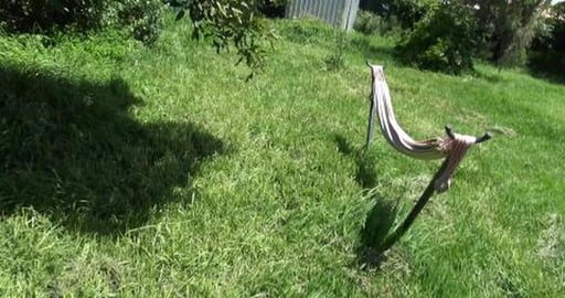 Maintenance & supervised by Malamute