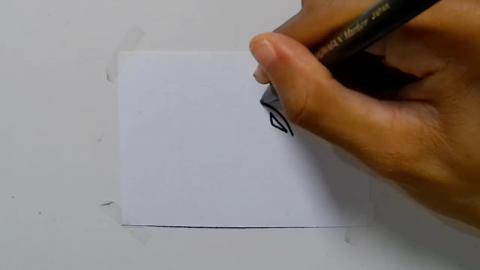 Drawing tatto v133 2024 shorts