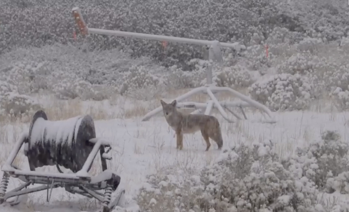 when-do-ski-resorts-open-here-s-what-snow-looks-like-now-sacramento-bee