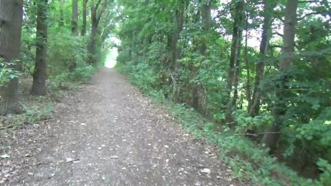 nature walk 
