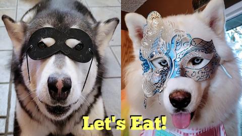 Breakfast With The WaterWolves | They Are Crazy For A Hot...