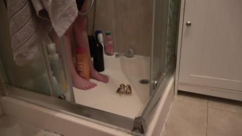 Foam animal beagles- It would be a great life if they cou...