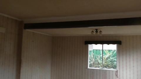 Bought this house site unseen and Huskies at mums