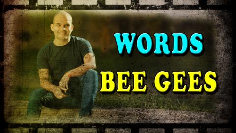 WORDS - Bee Gees | - (ACOUSTIC COVER) 