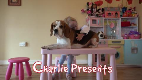 Why Every Child Should Have a Dog