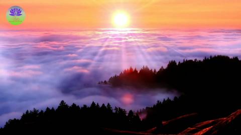 Relaxing relief amazing nature- Images for relax 2026