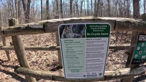 Beware for Coyote and Ticks....