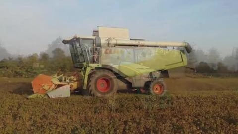 Pure sound _  Dal compost al liquame