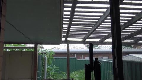 Update on Roofus & What's for lunch for a Husky & Malamut...