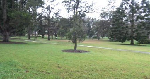 Queens park on a wet wonderful morning