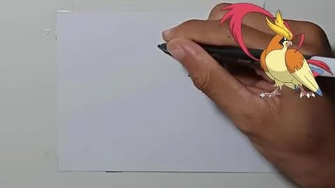 Drawing Pokemon MEGA PIDGEOT