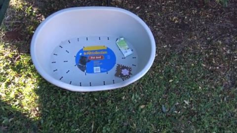 Memorial garden for Tenterfield Terrier & Jack Russell