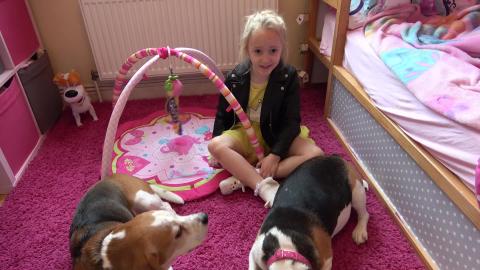 Picnic and Adventure Walk with Dogs