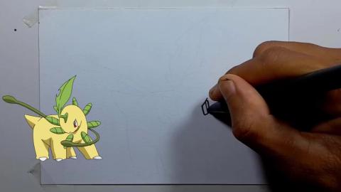 Drawing Pokemon BAYLEEF shorts