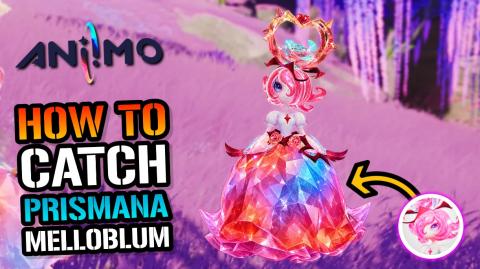PRISMANA "Melloblum" Capture Guide! How To Get PRISMANA M...
