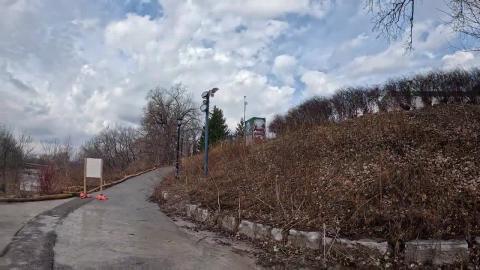 Red-tailed Hawk Landing