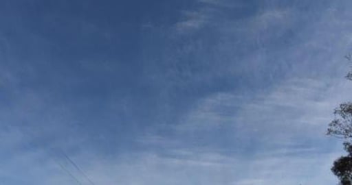 Husky's meet a new friend at the park & popped in to see ...