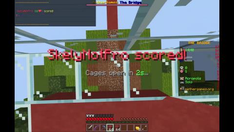 Victory on TheBridge | NetherGames