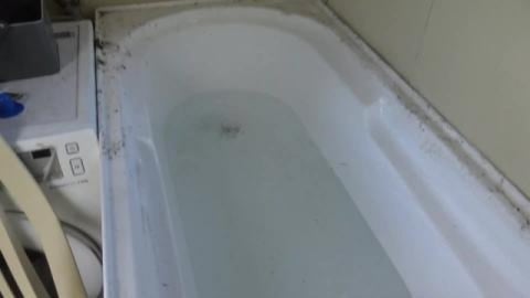 Big Husky boy tests bath and a surprise ending