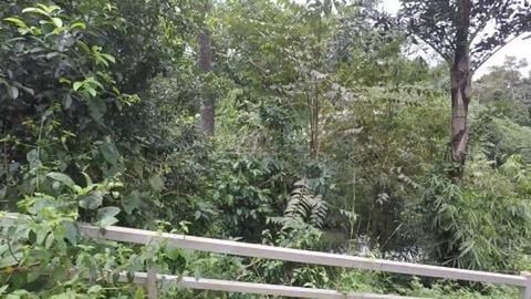 Flowing waters of Magajahalli Falls | Karnataka