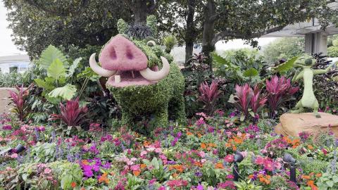Epcot - Topiary - Lion King Pumba and Timon - 3/17/2024 -...