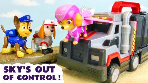 Paw Patrol Skye is out of Control - Why?   
