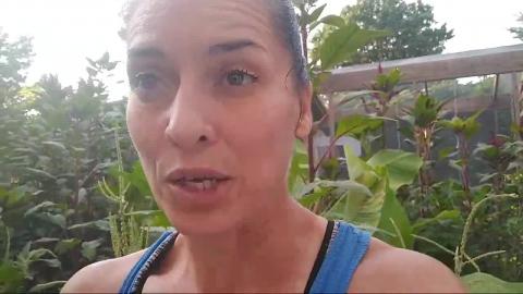 4 Days Out Tuesday Tweaks