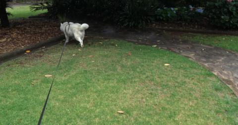 Walk around Laurel Park and it's raining