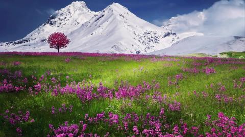 Himmel Songs -  Melodies for Peaceful Minds and Calming M...