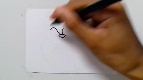 Drawing mascot-head-panda_3 shorts