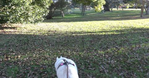 I hope they don't make this park off-leash