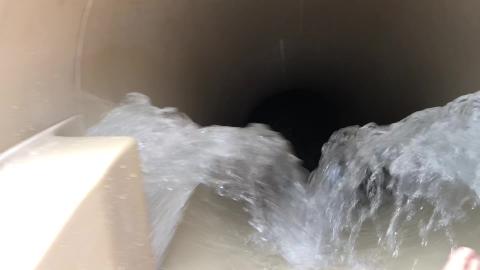 Polynesian Pool Slide