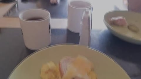 When Beagle Dogs Want Attention